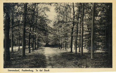 12255 Gezicht in een bosweg bij het huis Prattenburg aan de Cuneraweg te Rhenen.